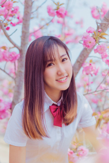 种子搜索神器
